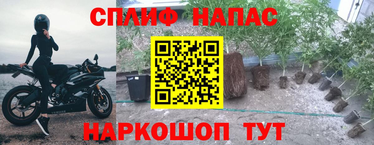 Марихуана планчик Дивногорск